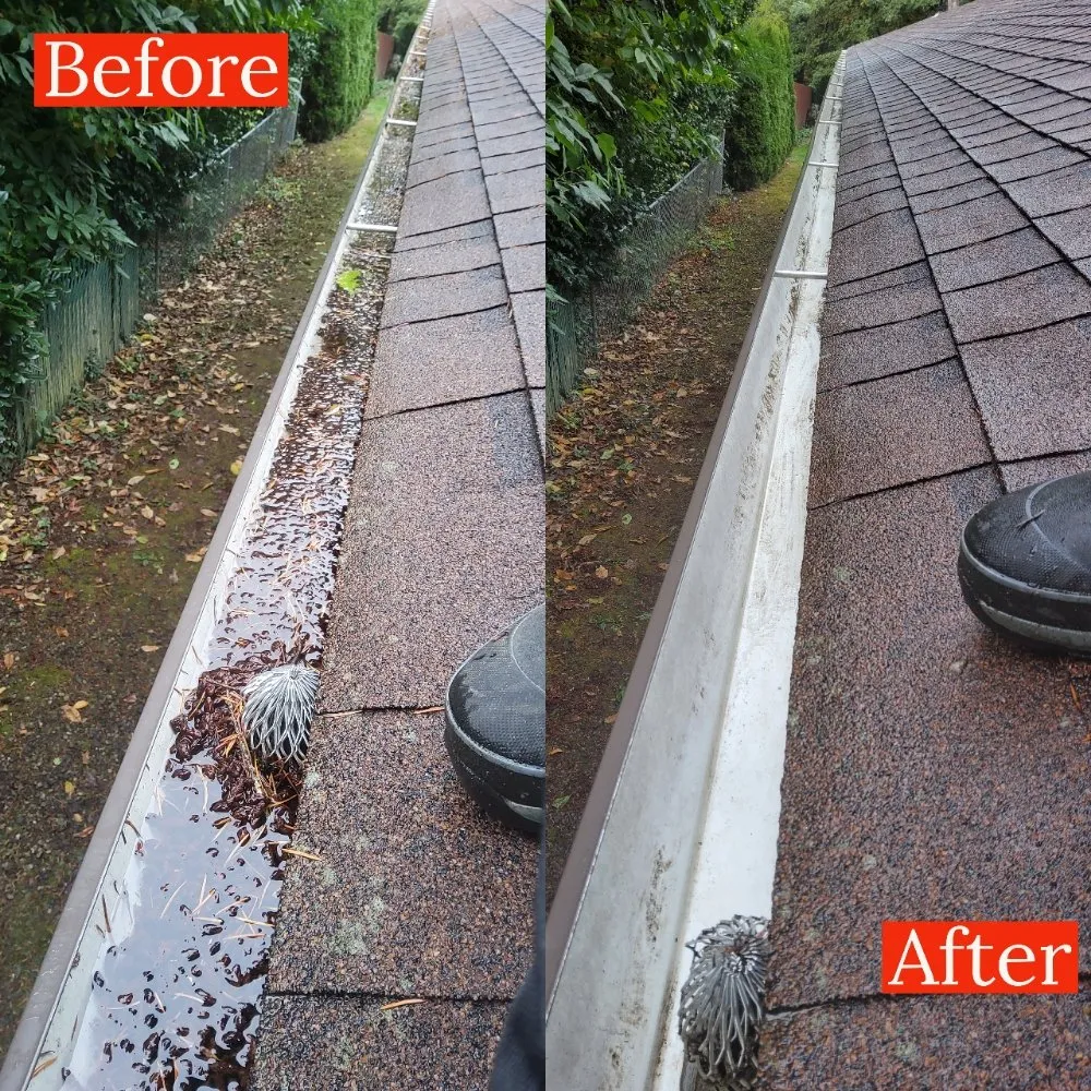 Slide of Williamson Property Maintenance