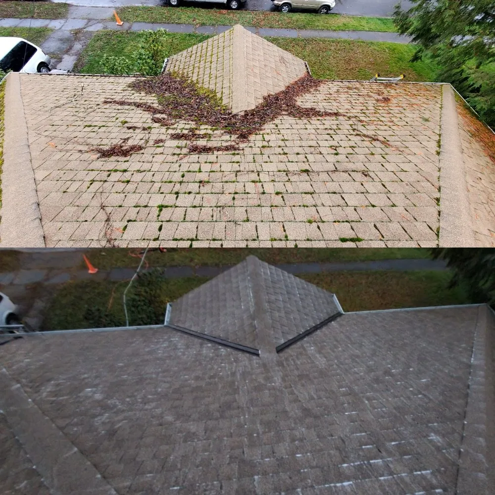 Slide of Williamson Property Maintenance