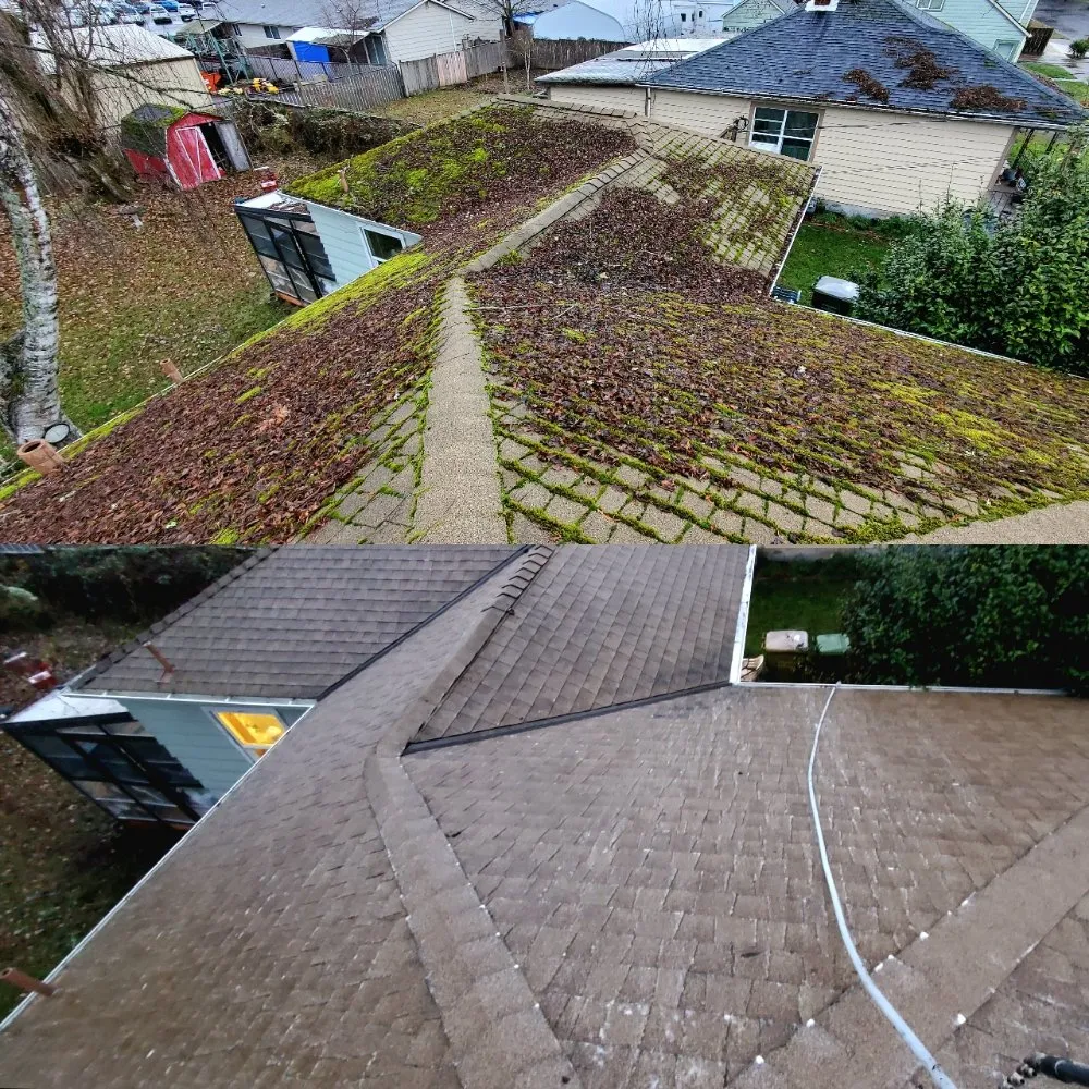 Slide of Williamson Property Maintenance