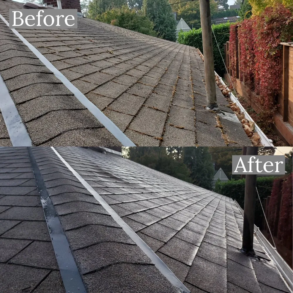 Slide of Williamson Property Maintenance