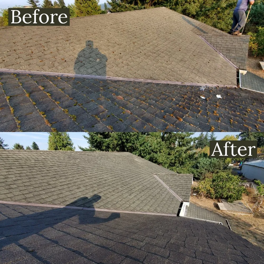 Slide of Williamson Property Maintenance