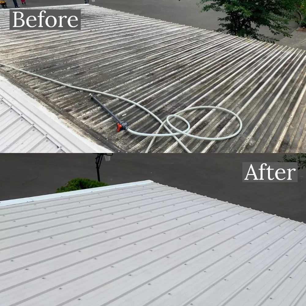 Slide of Williamson Property Maintenance