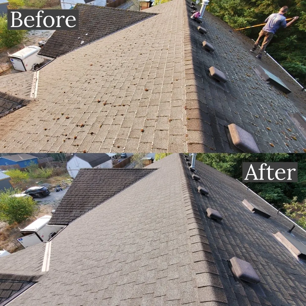 Slide of Williamson Property Maintenance