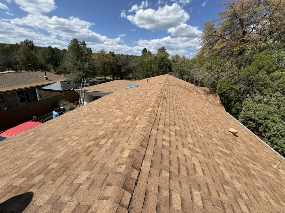 Slide of Willy the phoenix legion services