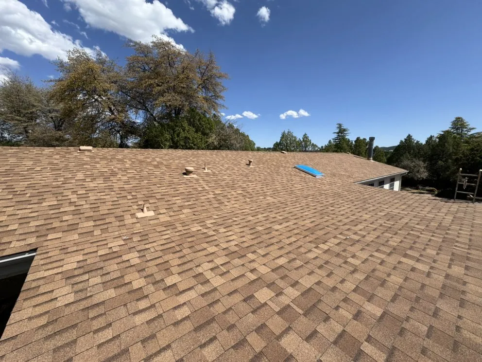 Slide of Willy the phoenix legion services