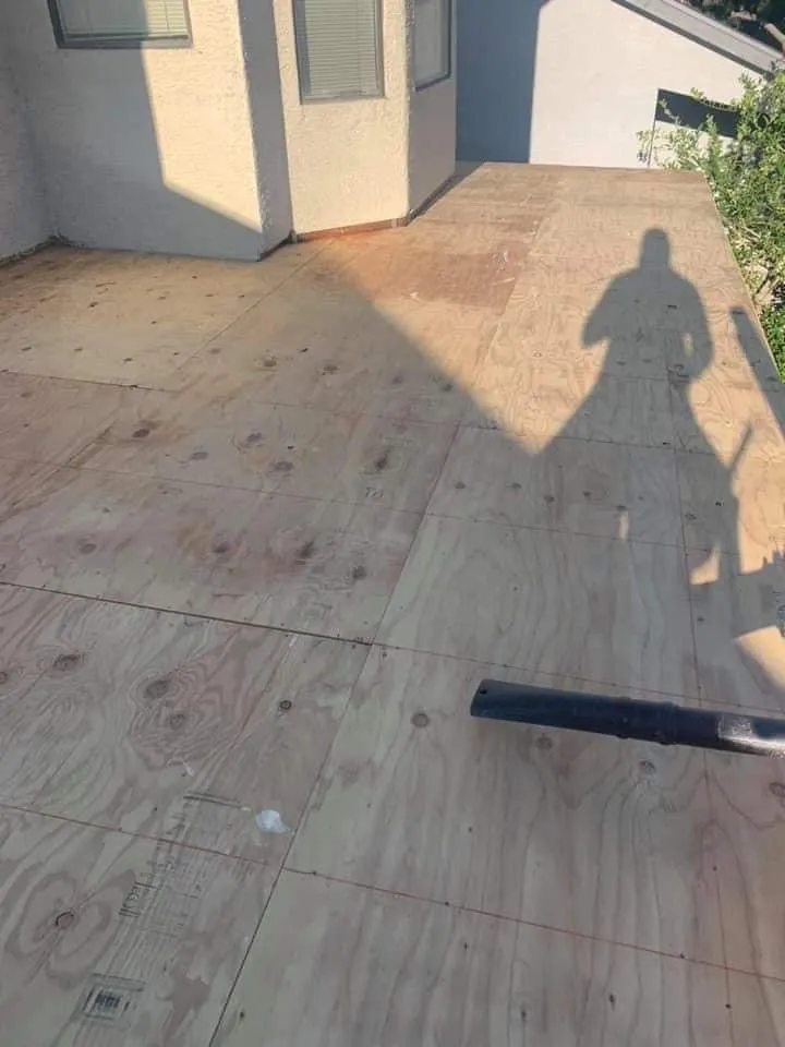 Slide of Willy the phoenix legion services