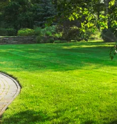 Slide of Willy's Landscaping