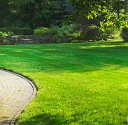 Slide of Willy's Landscaping