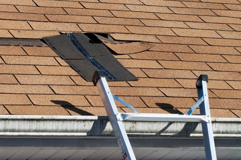 Emergency shingle roofing service in Castle Hayne, NC - Wilmington Roofing Contractors