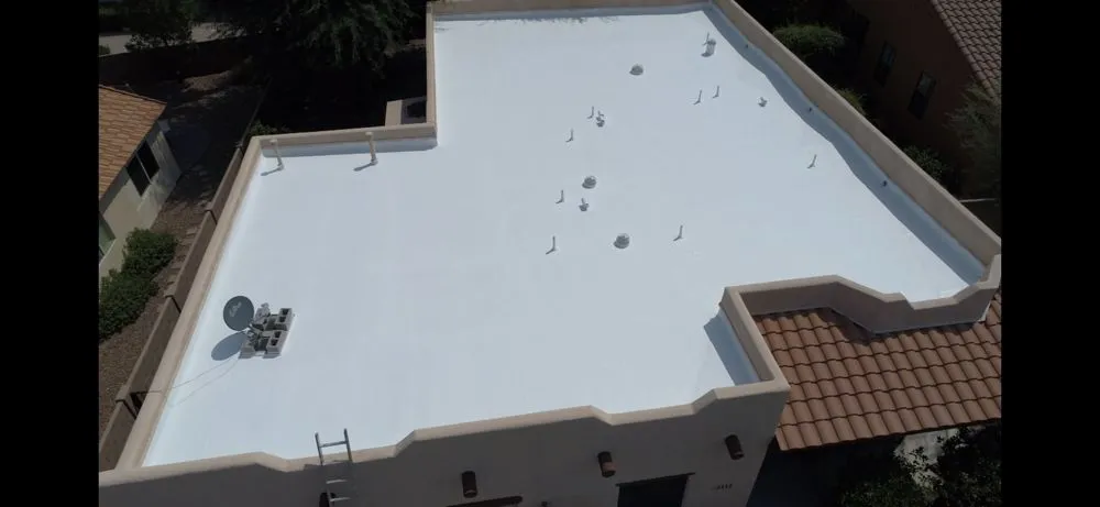 Slide of Wilson & Dale