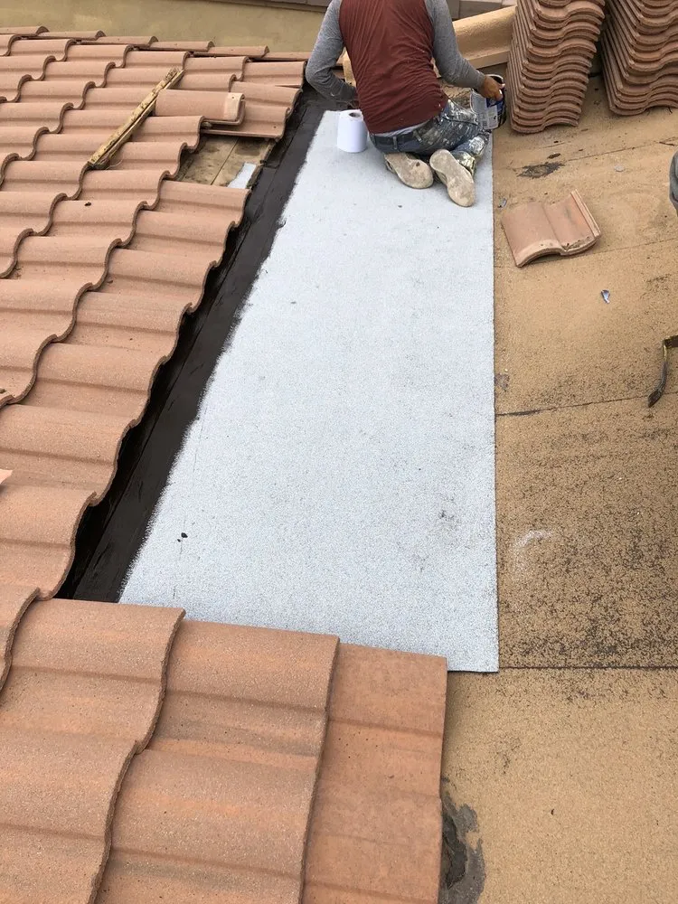 Slide of Wilson & Dale