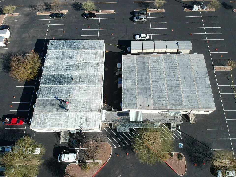 Slide of Wilson & Dale