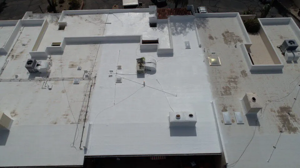 Slide of Wilson & Dale