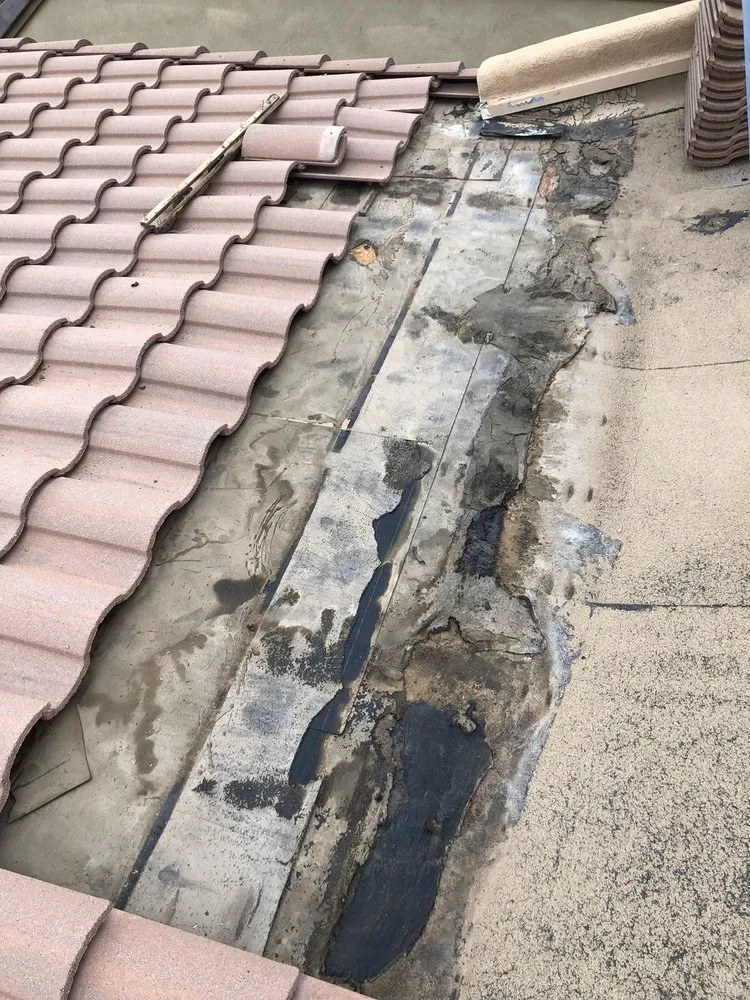 Slide of Wilson & Dale