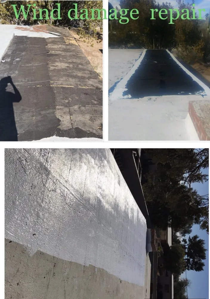 Slide of Wilson & Dale