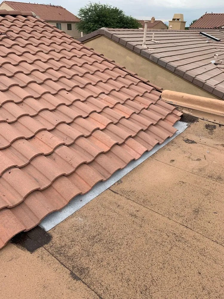 Slide of Wilson & Dale