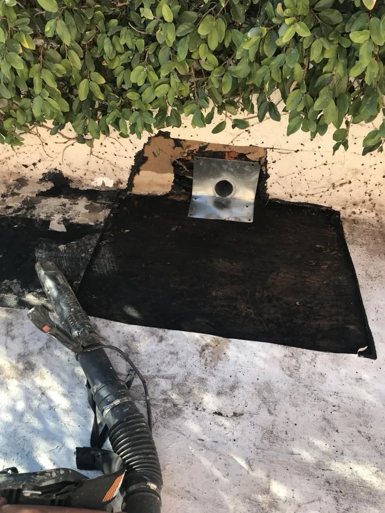 Slide of Wilson & Dale