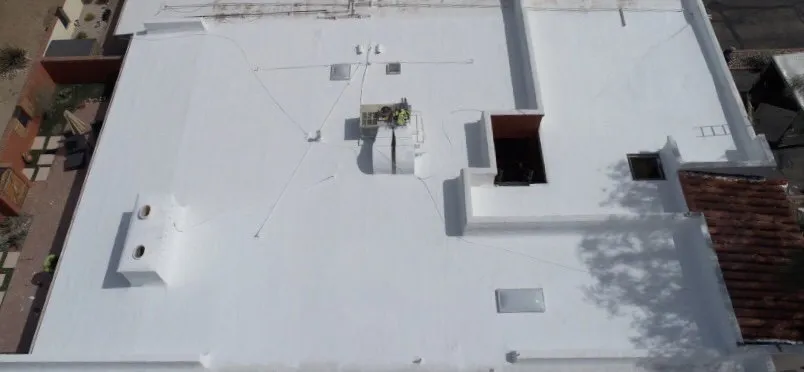 Slide of Wilson & Dale