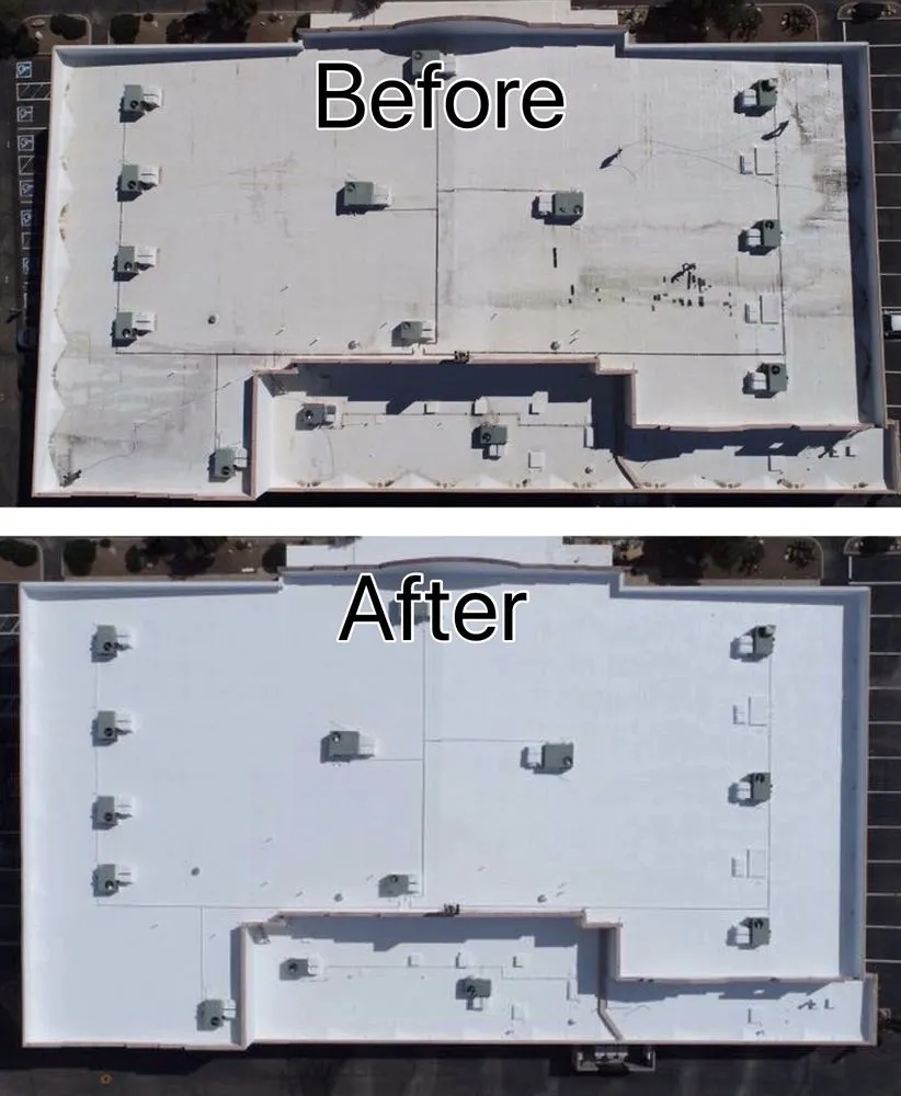 Slide of Wilson & Dale