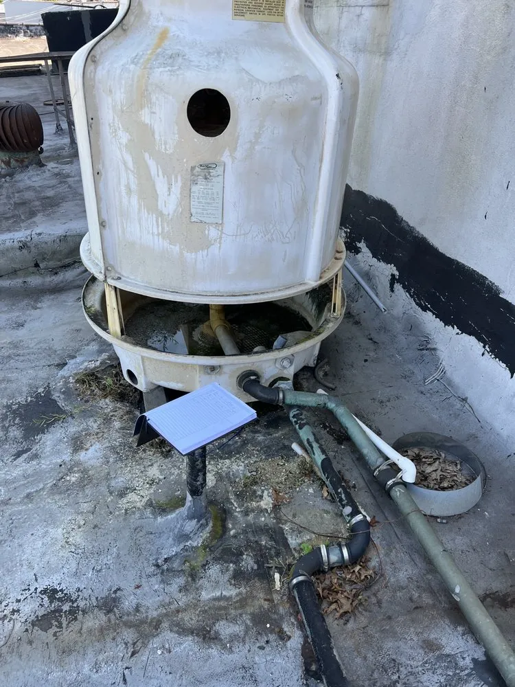 Slide of Wilson & Son