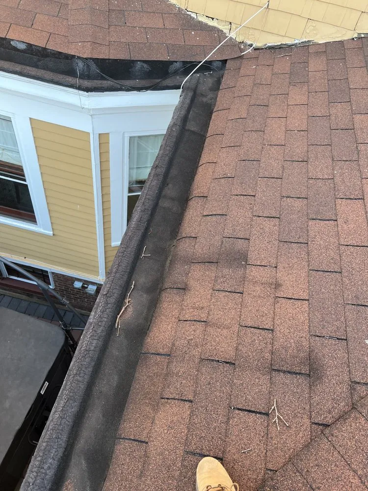 Slide of Wilson & Son