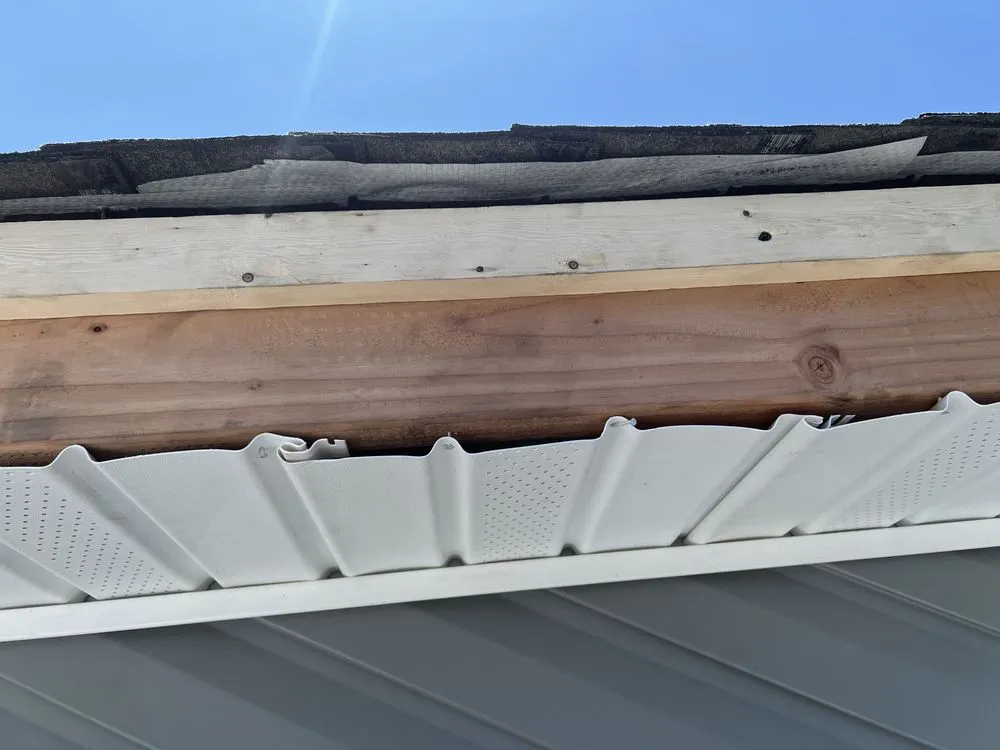 Slide of Wilson & Son