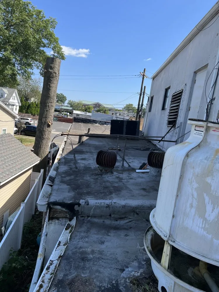 Slide of Wilson & Son