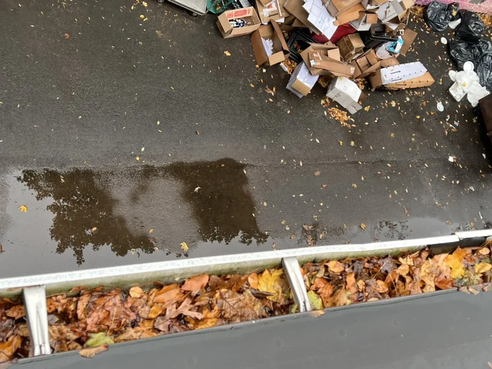 Slide of Wilson & Son