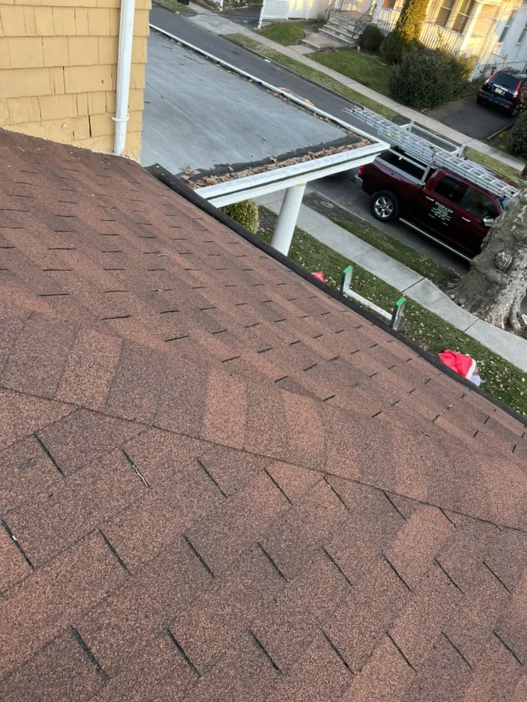 Slide of Wilson & Son