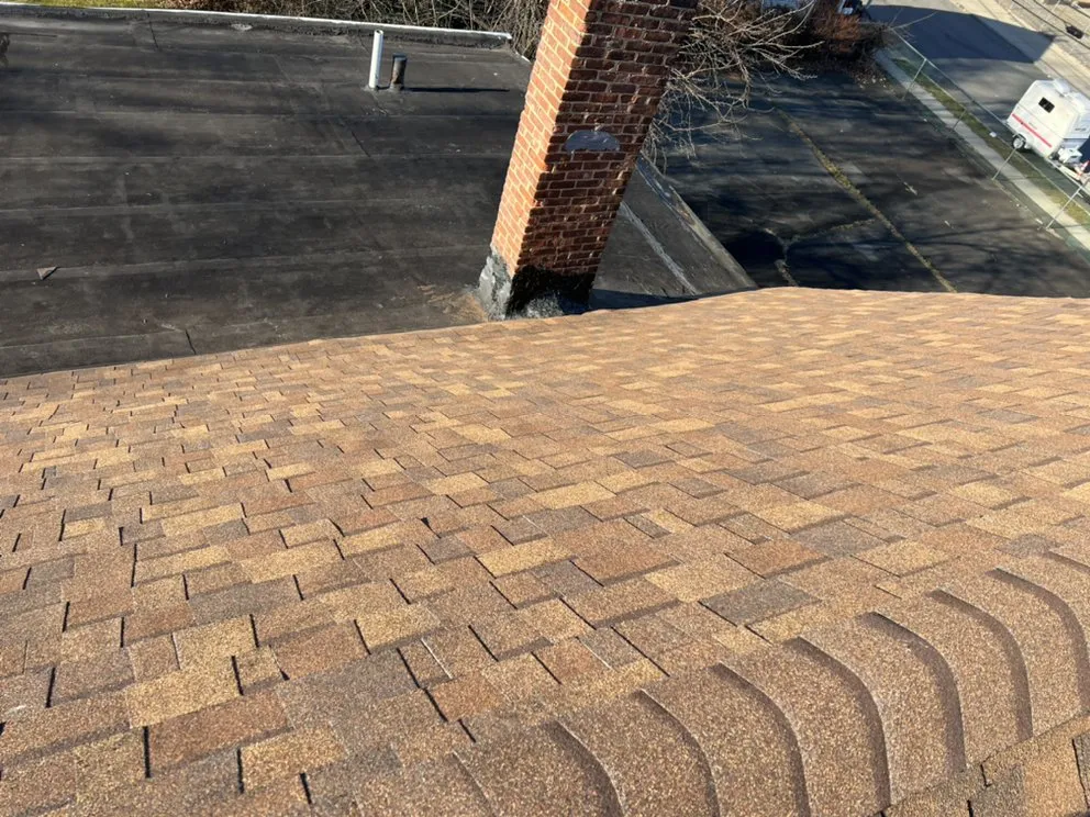 Slide of Wilson & Son