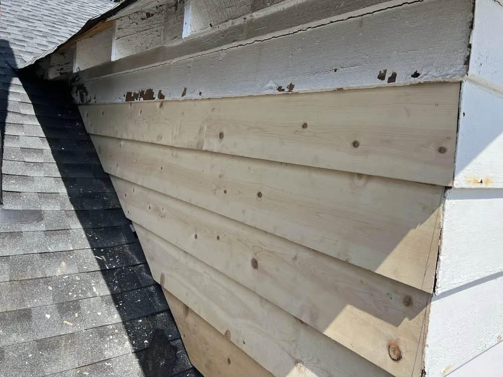 Slide of Wilson & Son