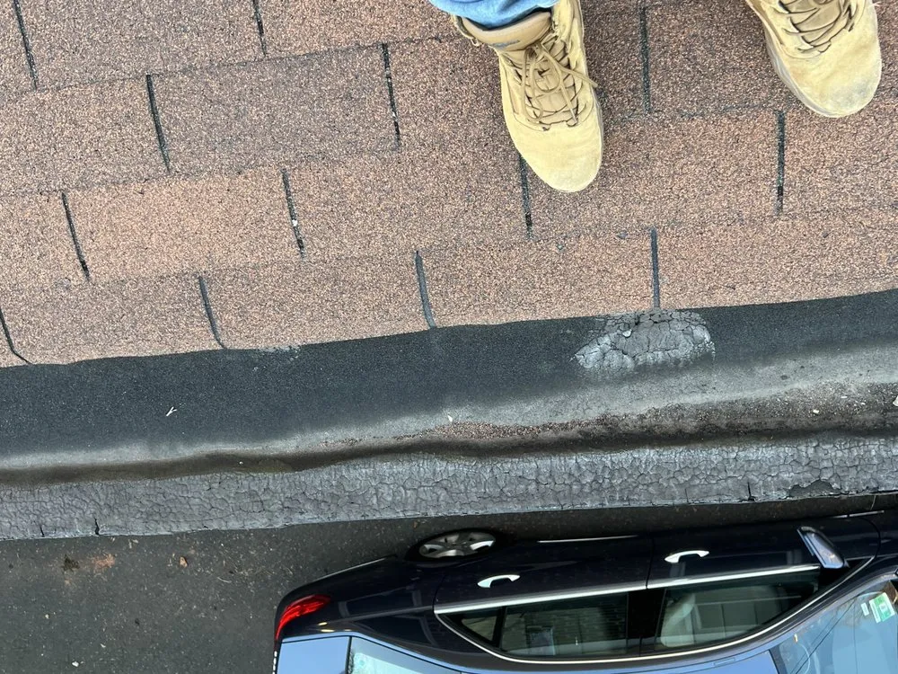 Slide of Wilson & Son