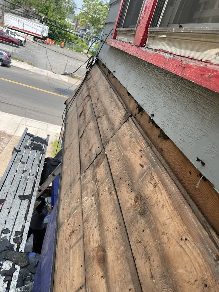 Slide of Wilson & Son