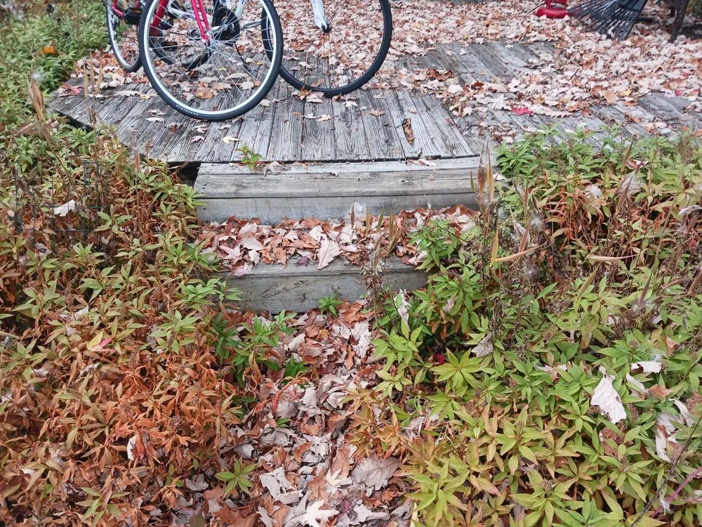 Slide of Wilson Brothers Construction