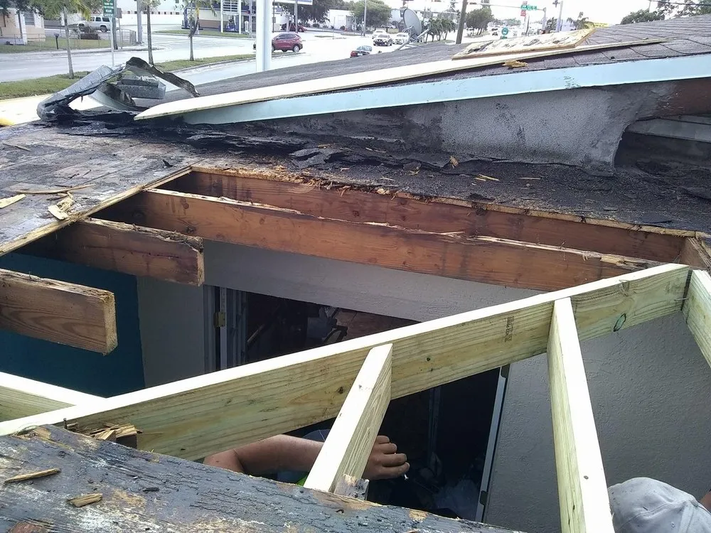 Slide of Wilson Maintenance