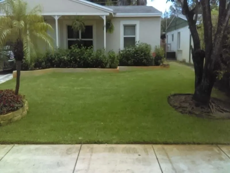 Slide of Wilson Maintenance