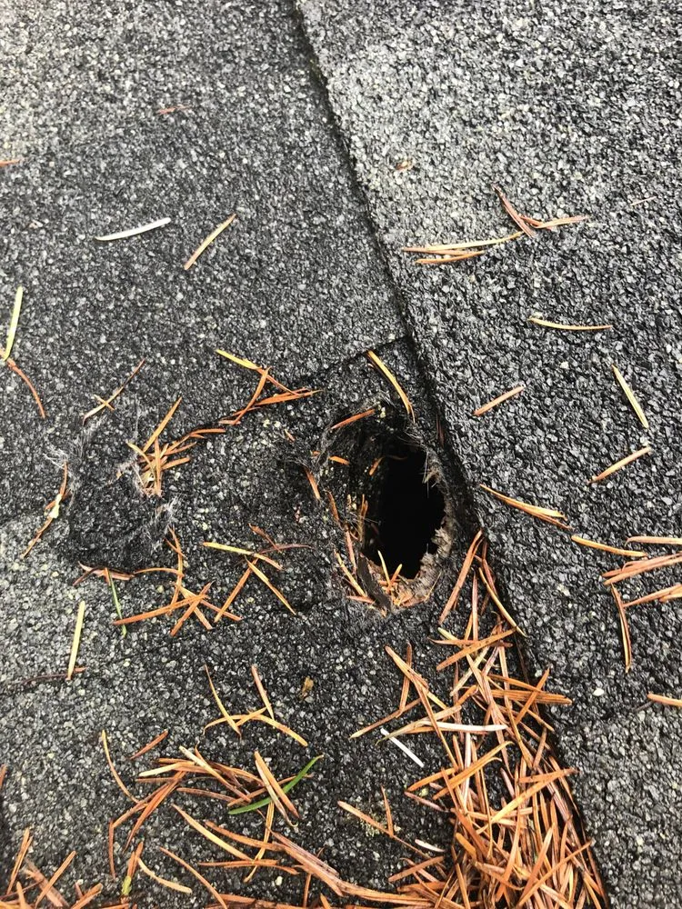 Slide of Wind Proof Roofing