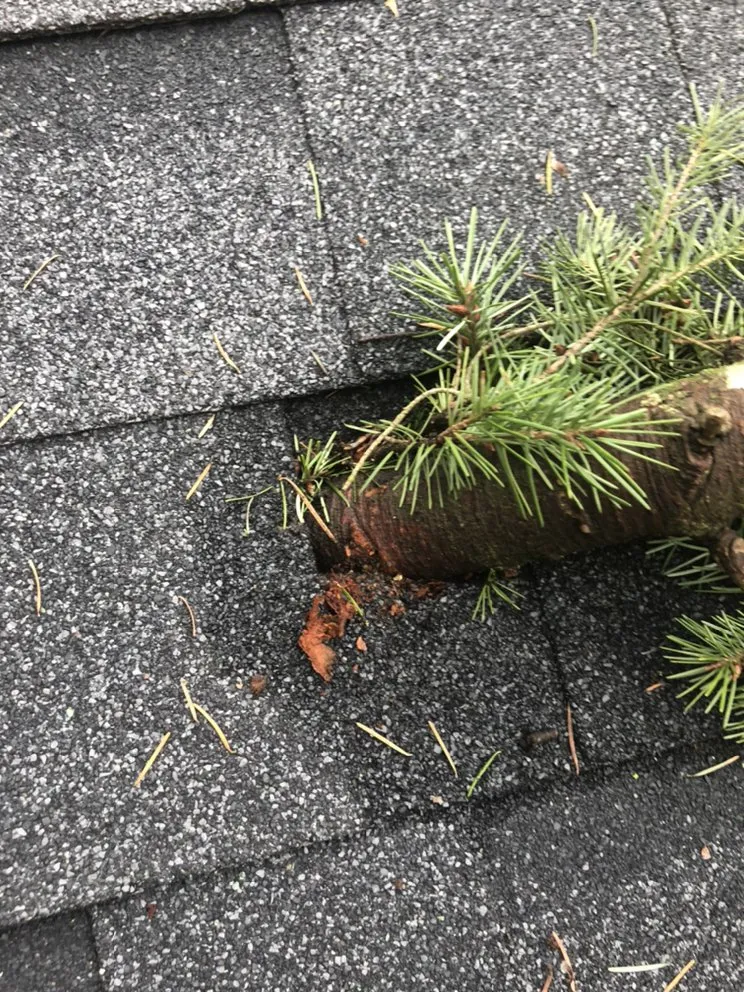 Slide of Wind Proof Roofing