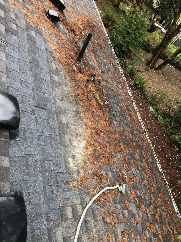 Slide of Wind Proof Roofing