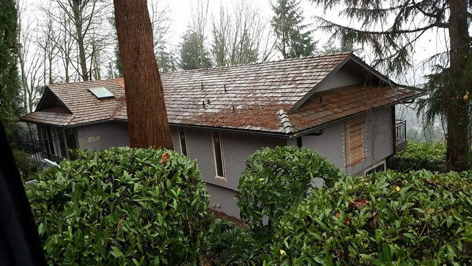 Slide of Window and Roof Depot