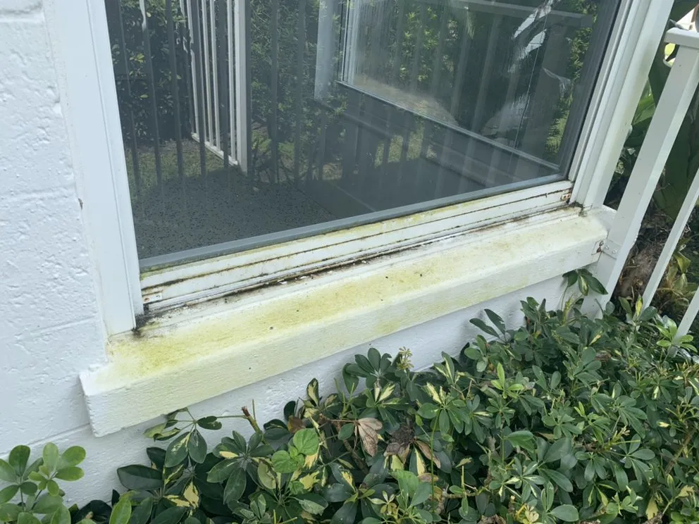 Slide of Window Cleaning Solutions