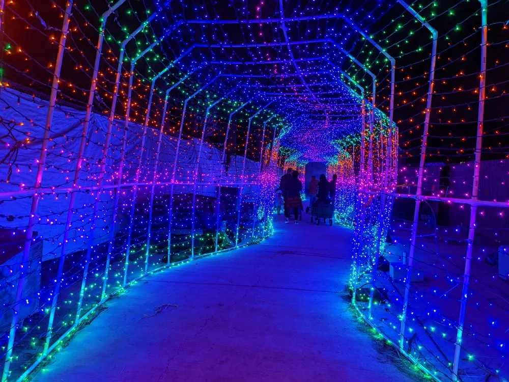 Slide of Window Wizards