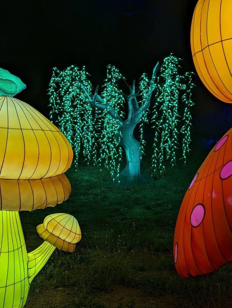 Slide of Window Wizards