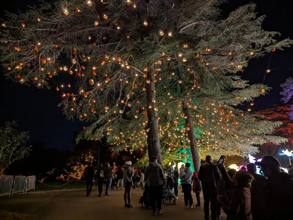 Slide of Window Wizards