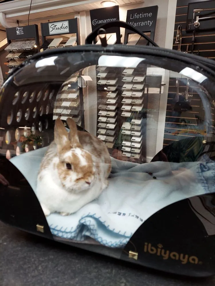 Slide of Windows Doors & More