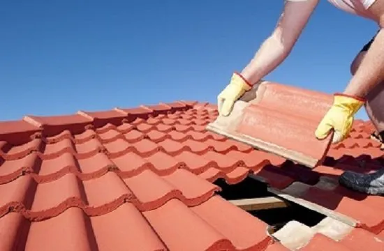 Slide of Winter Garden Roof Repair