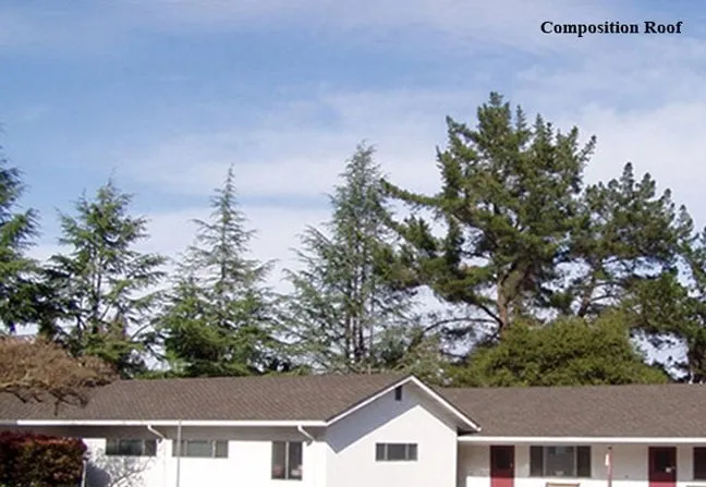 Slide of Winter Roofing