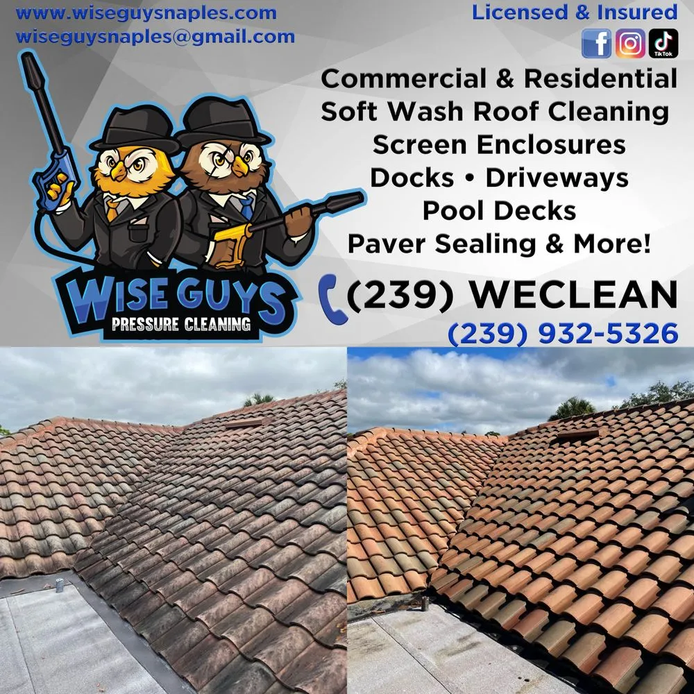Slide of Wise Guys Pressure Cleaning