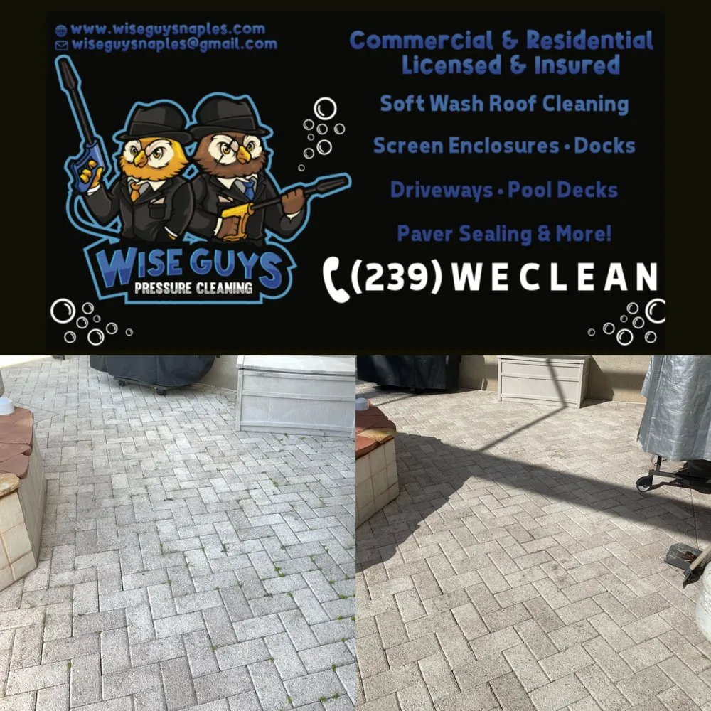 Slide of Wise Guys Pressure Cleaning