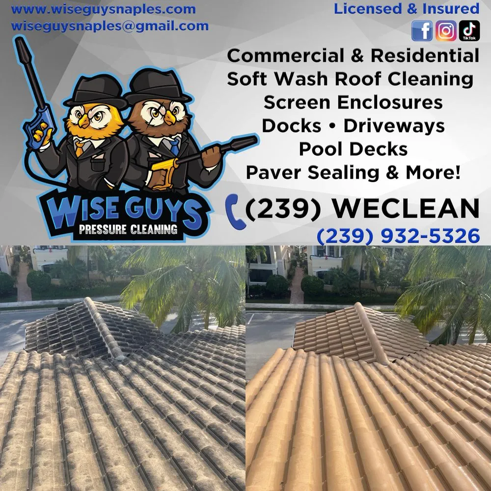 Slide of Wise Guys Pressure Cleaning